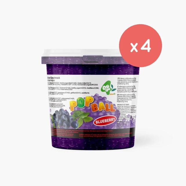 BOBOQ - PERLES DE FRUIT MYRTILLE SEAU 3.2KG
