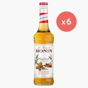 MONIN - SIROP PAIN D'EPICES BOUTEILLE VERRE 700ML