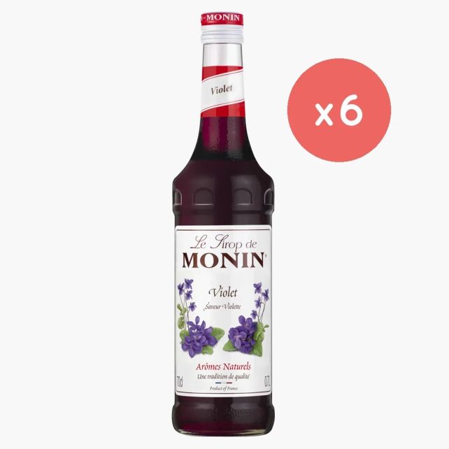 MONIN - SIROP VIOLETTE BOUTEILLE VERRE 700ML